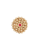 Mimosa Earrings in 18kt Gold and Rubies