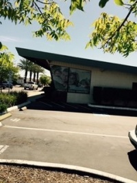 Dr. Lila P. Wilson, DDS